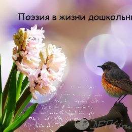 Поэзия в жизни дошкольника
