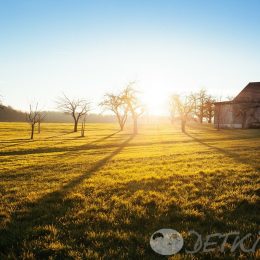 Написанное в марте. Стихотворение о весне