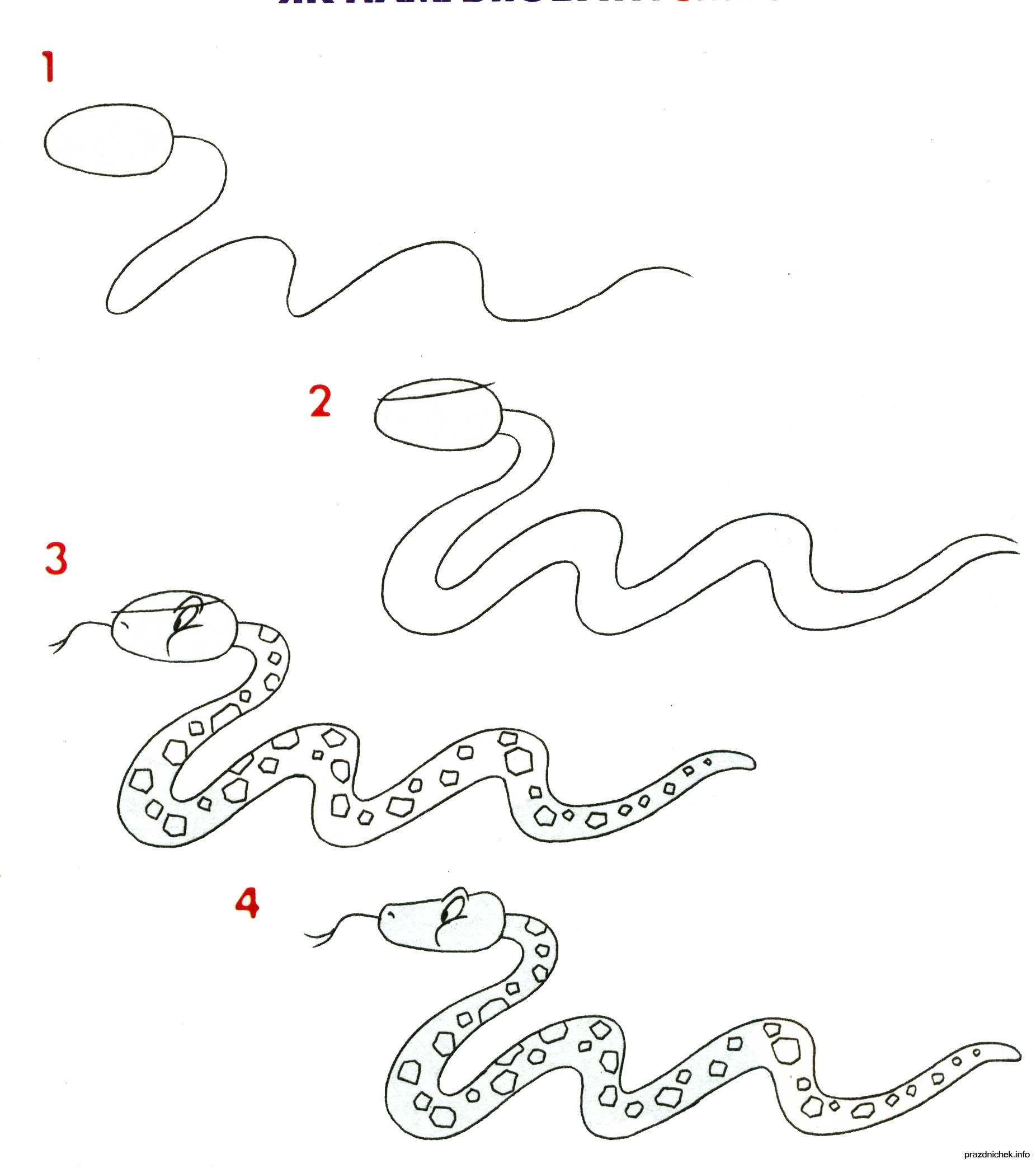 Пресмыкающиеся подготовительной группе. Как нарисовать змею. Змея поэтапное рисование. Как нарисовать Мью. Схема рисования змеи.