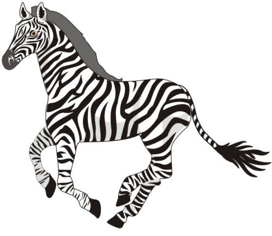 зебра-стихи для детей дошкольного возраста