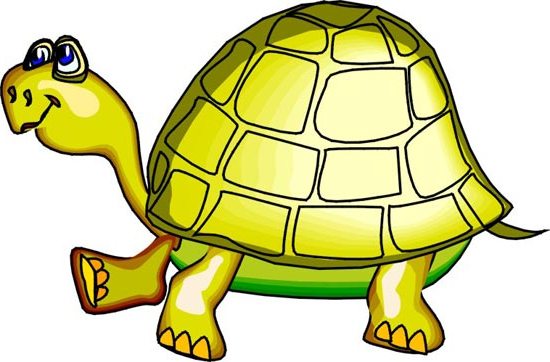 черепаха - стихи для 1,5-2 лет