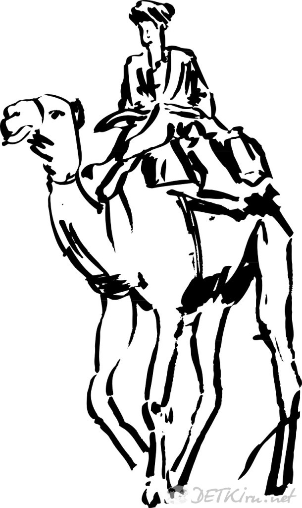 верблюд картинки для детей 2