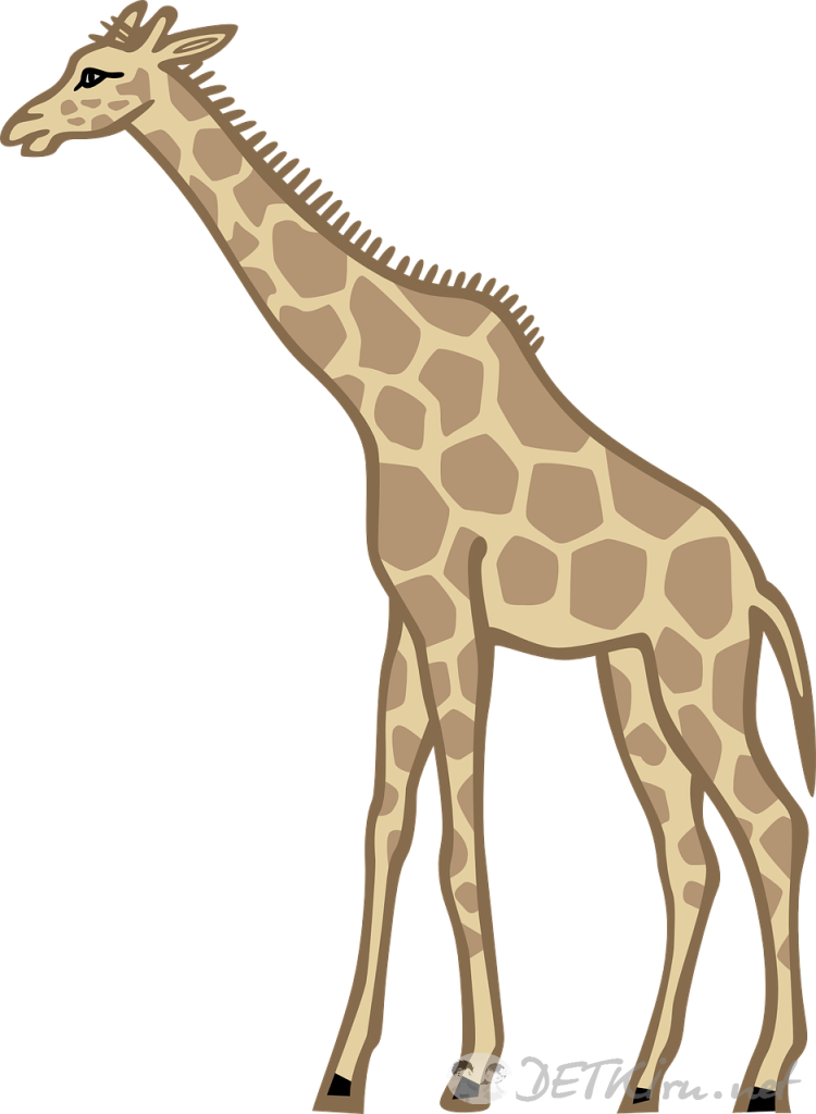 жираф картинки для детей 1