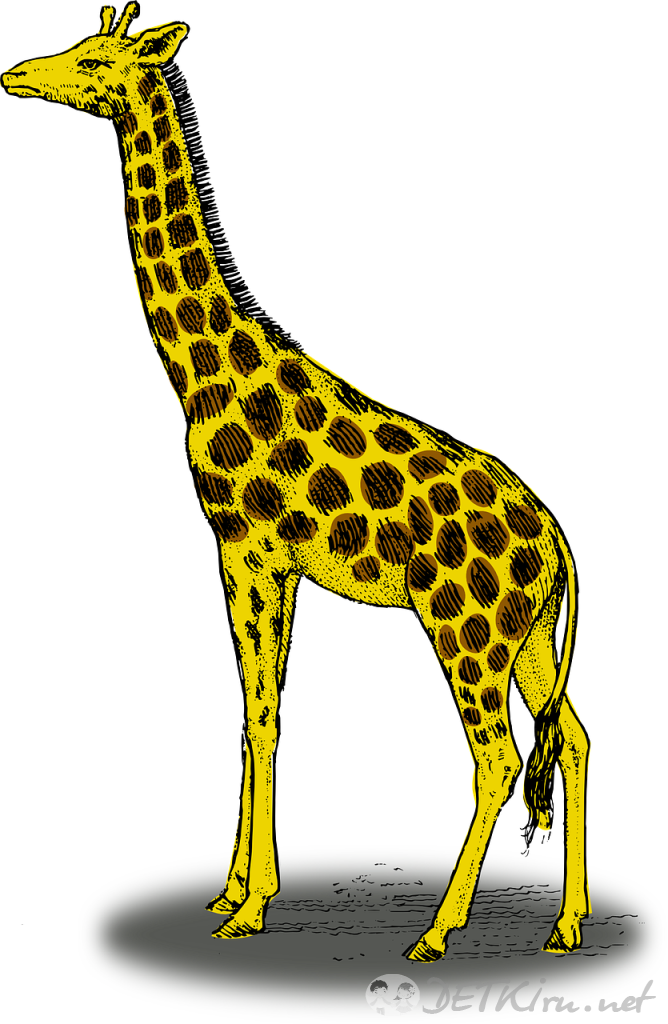 жираф картинки для детей 4