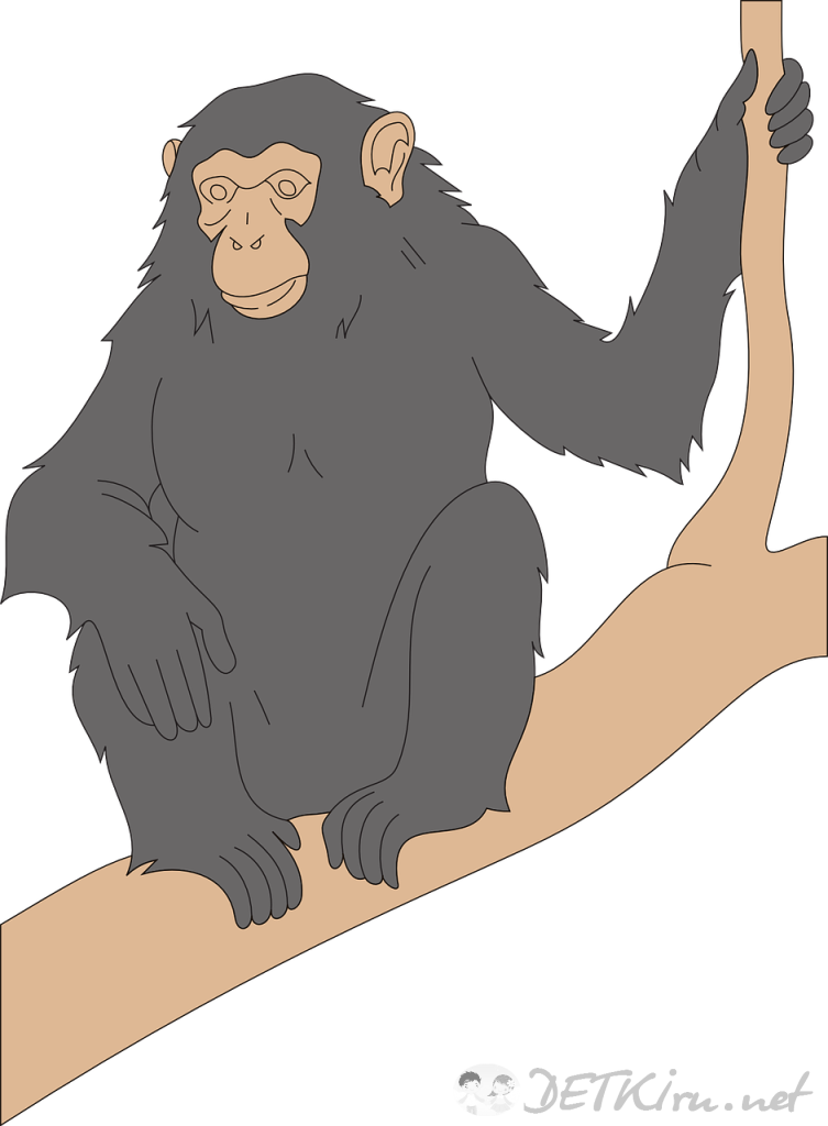 обезьяна картинки для детей 1