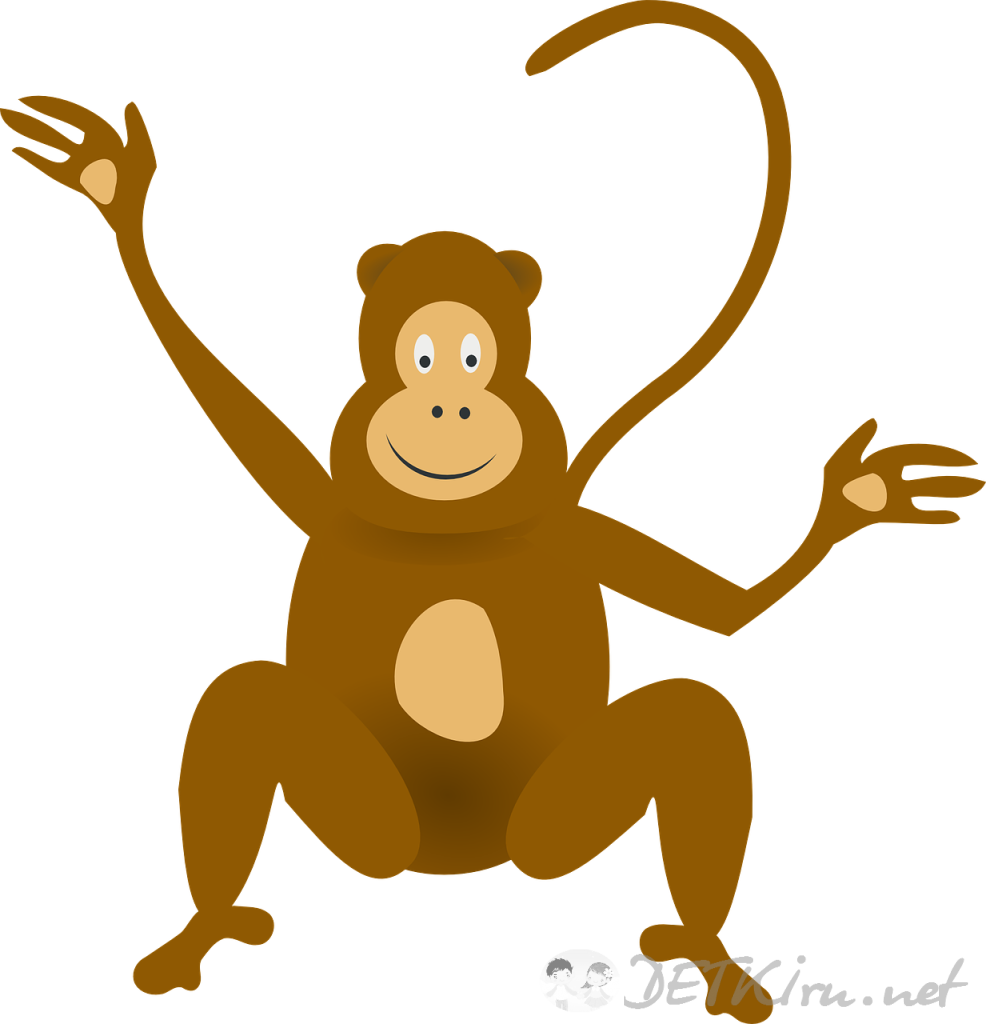 обезьяна картинки для детей