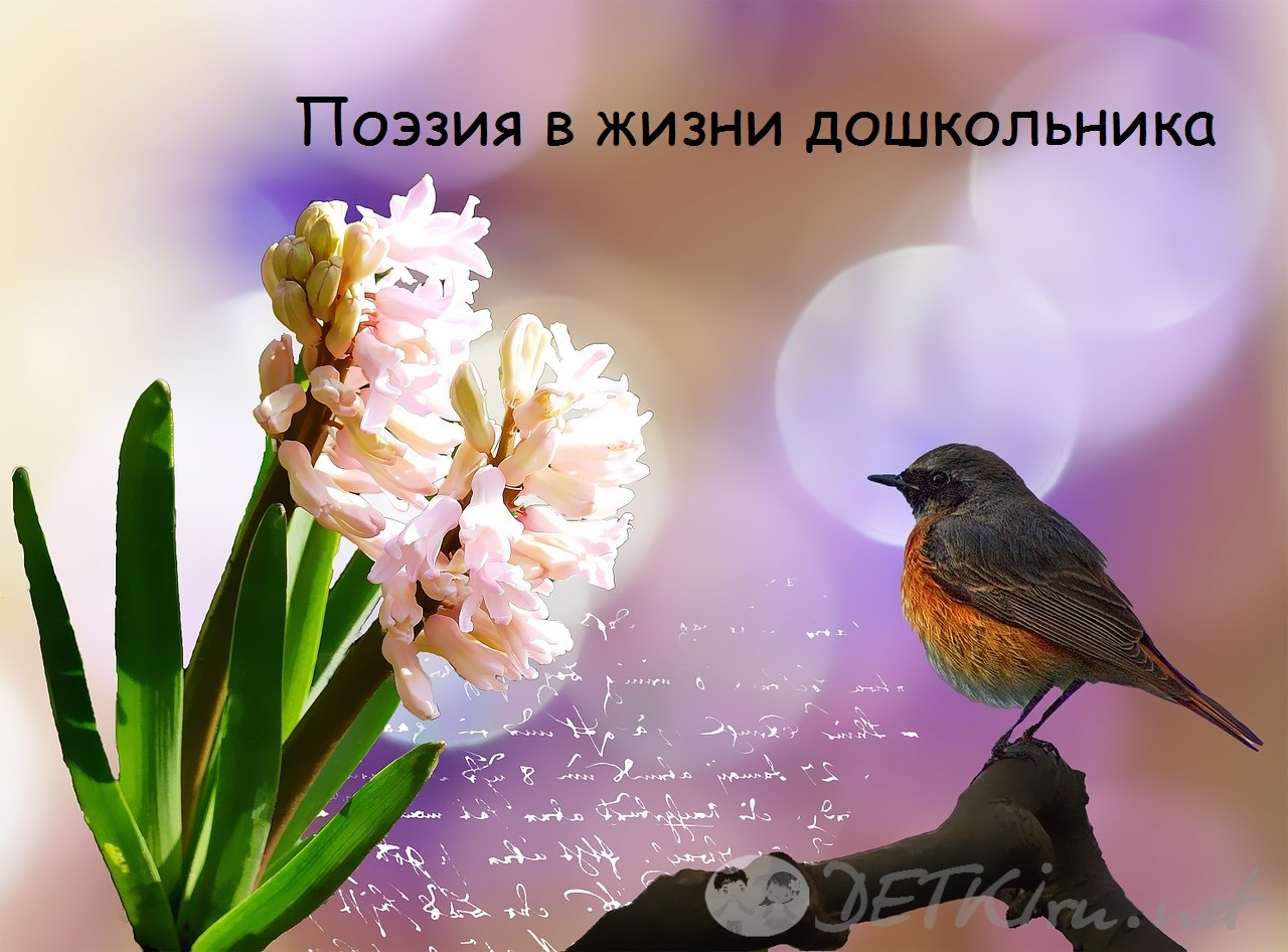 Поэзия в жизни дошкольника