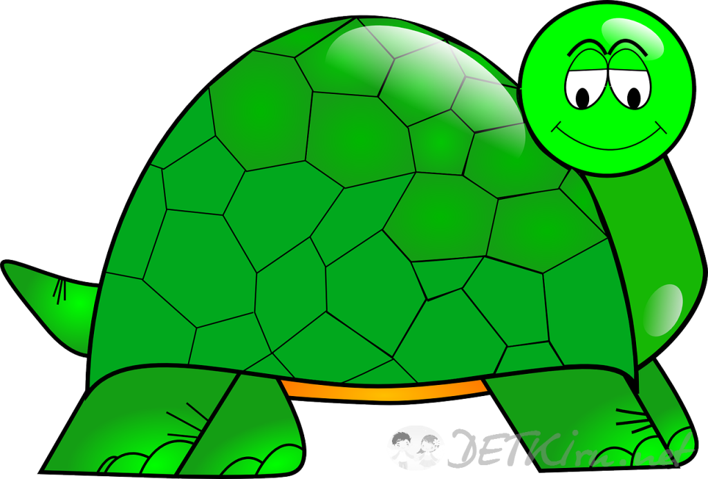 черепаха картинки для детей 1