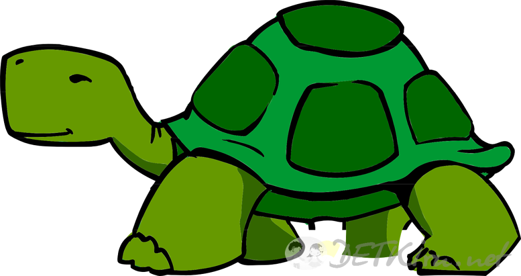 черепаха картинки для детей 3