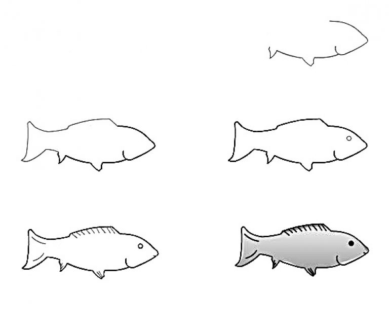 Рыбы рисунок 3 класс. Рисование рыбы. Рыба срисовать. Рисование рыбы поэтапно. Рыбка рисунок карандашом.