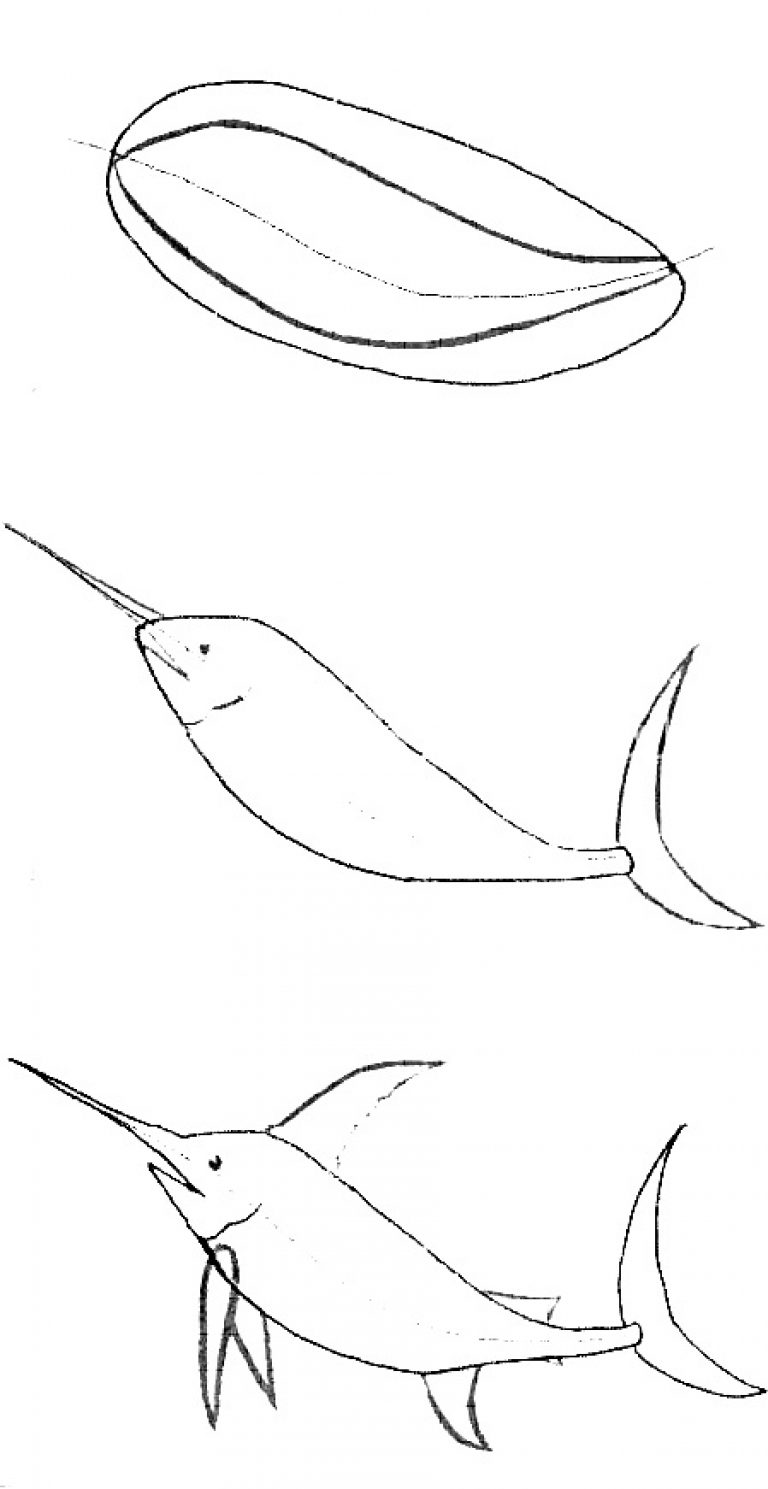 Пошаговый рисунок рыбы