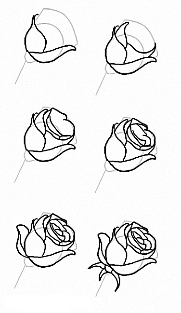 Рисунок карандашом для начинающих легкий 10 лет. Красивые рисунки по шагам. Рисунок розы для срисовки легкие для начинающих.