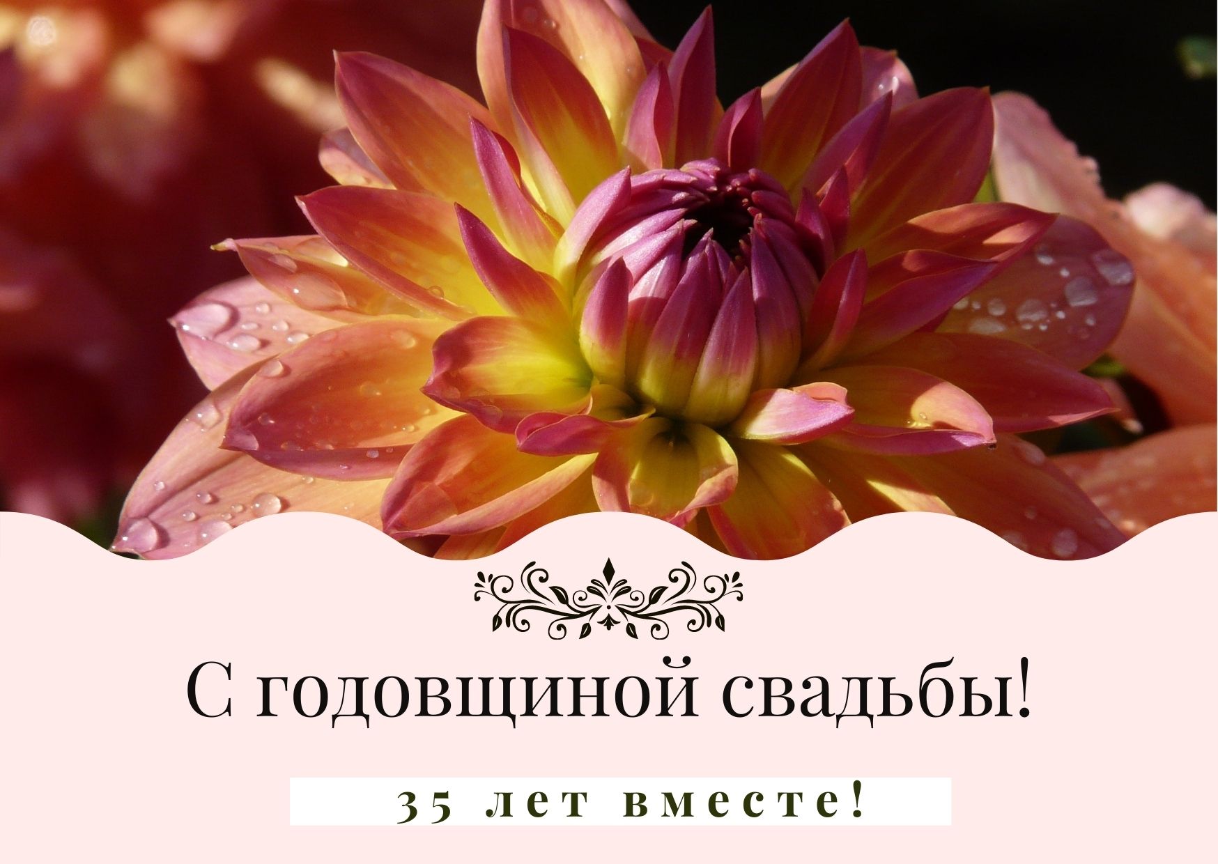 С коралловой свадьбой 35 лет открытки
