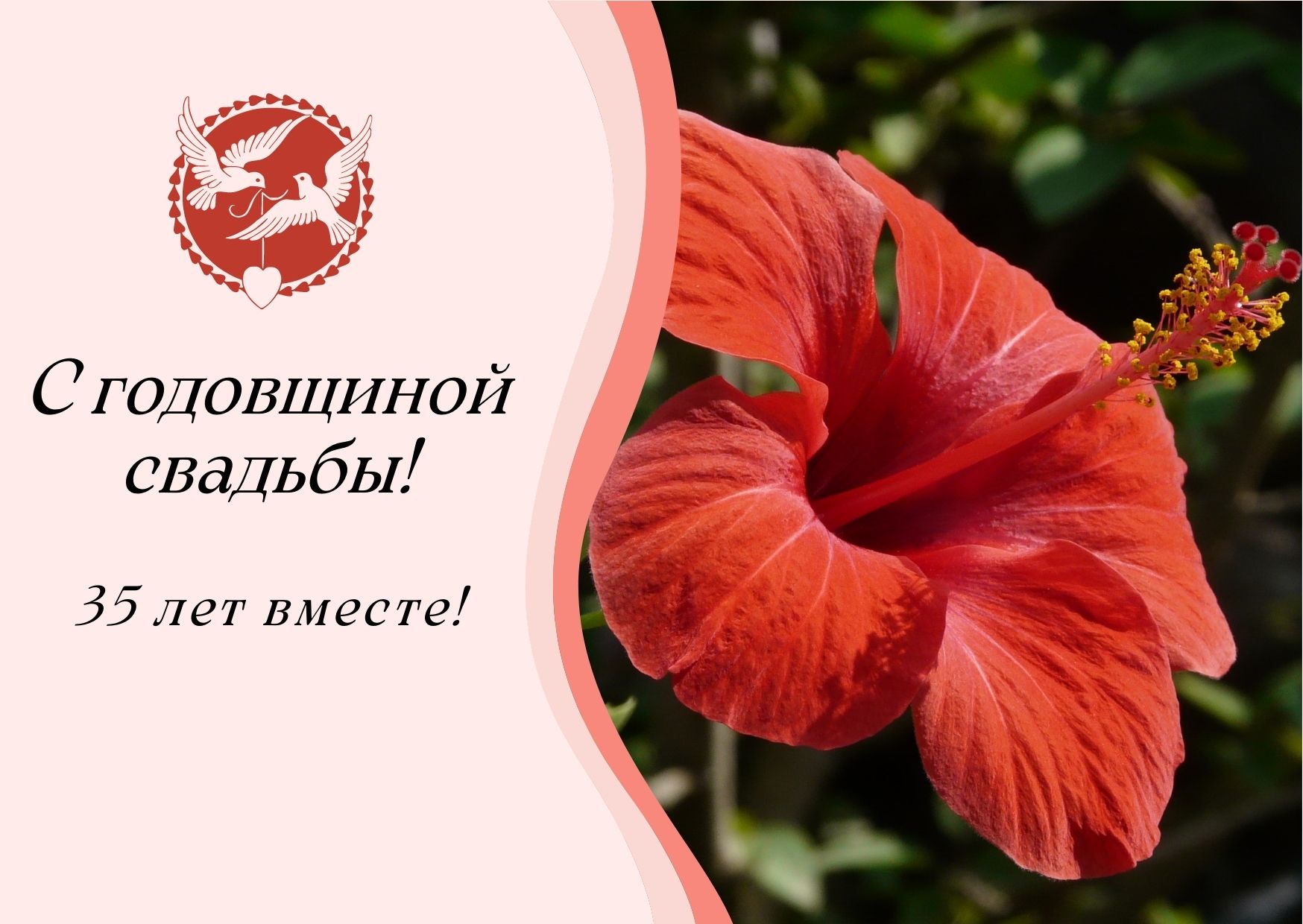 Коралловая свадьба поздравления картинки прикольные
