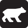 Медведь — 33 картинки для детей