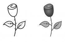 Как нарисовать розу поэтапно: 15 способов